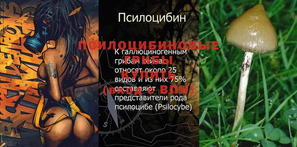 ГАЛЛЮЦИНОГЕННЫЕ ГРИБЫ Инсар