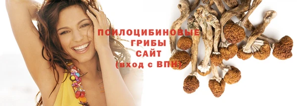 бутират Иннополис
