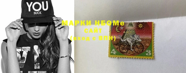 ГАЛЛЮЦИНОГЕННЫЕ ГРИБЫ Инсар