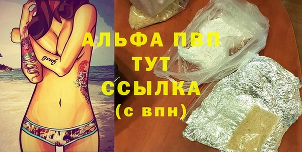 дмт Инта