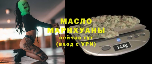 дмт Инта