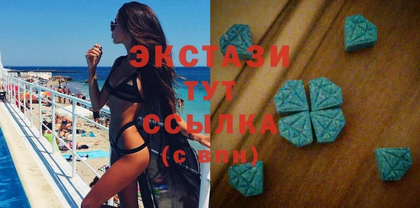 дмт Инта