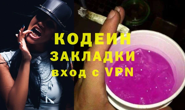 ГАЛЛЮЦИНОГЕННЫЕ ГРИБЫ Инсар