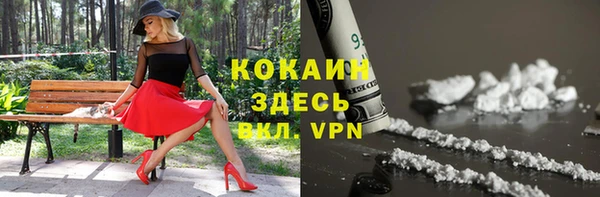 дмт Инта