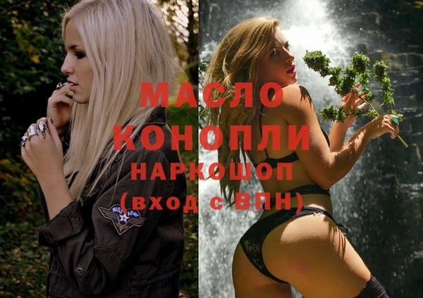 дмт Инта