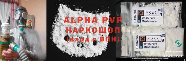 дмт Инта